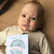 Ross McClintock's photo
