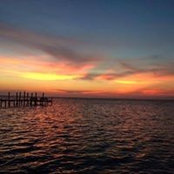 Foto de Amanda Dodd