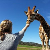 Stephanie Marie's photo