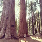 Kelly StJohn's photo