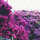 sublimedesign