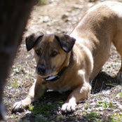 Mary Catherine Ross's photo