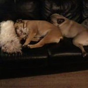 Ralf Schuette's photo