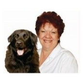 Janis Evaniak's photo