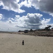 Foto von Amanda Buckley