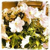 Gretchen Magel's photo