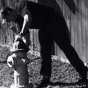 Bo Cogbill's photo