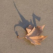 Susan Gressling Saylor's photo
