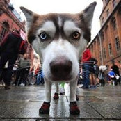 Foto de John Dingeldein