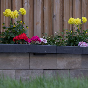 2023 Projects Gallery - Backyard and Frontyard Landscape Renovation
