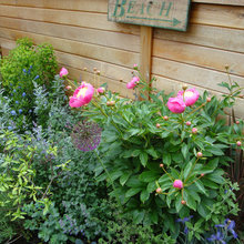 Flower Garden/Herbs Garden/Garden Space