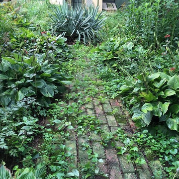 In search of the Natural Garden