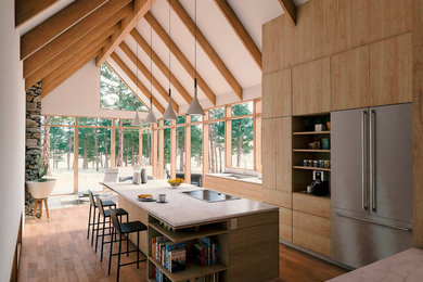 Inspiration for a modern home design remodel in Denver
