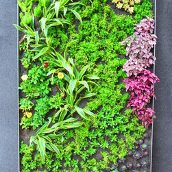 Living Wall System Residential - Garden Statues And Yard Art