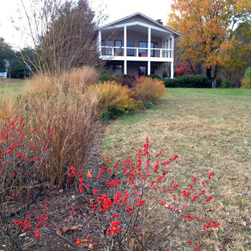 Lake near Fredericksburg, VA: Plant&Sustain for Clean Water