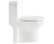 Small Compact Toilet Tiny One-Piece Elongated Toilet, Dual Flush, 0.8/1.28 GPF