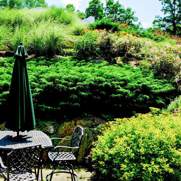 Hillside Beautification