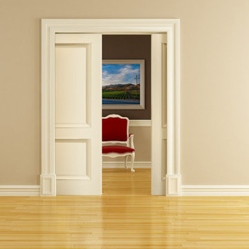 Interior Double Pocket Door
