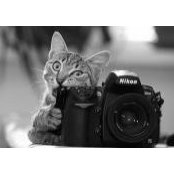 Leu Dana's photo