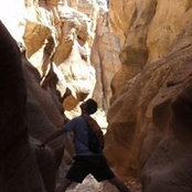 Jason Thatcher's photo