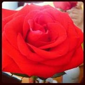 Sonia Munguia's photo