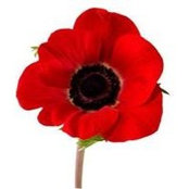 Sharon Bastarache's photo