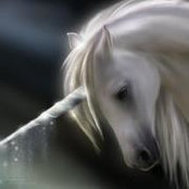 Lea Lott's photo
