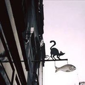 Naokqi Sparrow's photo