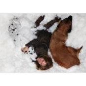 Trish Boyce's photo