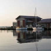 Donna Leffew's photo