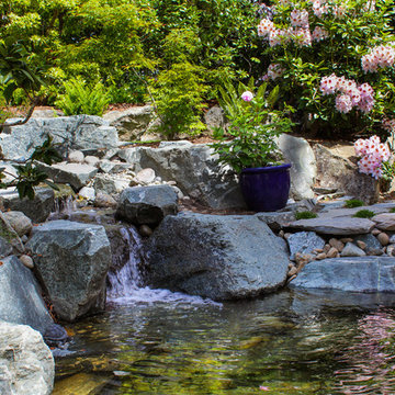 Side-yard Stream and Pond