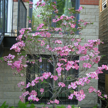 West Town Front Garden