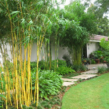 lincoln backyard