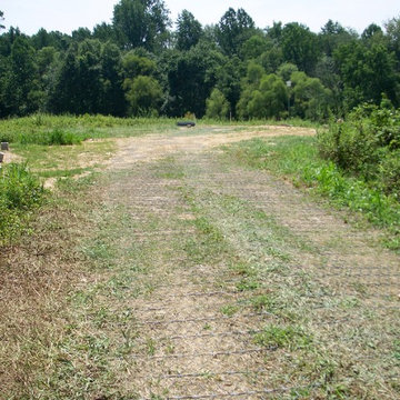 "Grass Track" Driveway