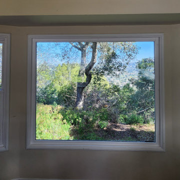 Windows & Beyond - Custom Window Projects