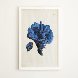 Coral Print - Carnation - Artwork