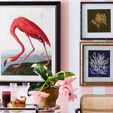 Dining Room Ideas