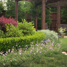 Woodland
