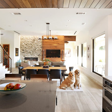 Modern Living in Plano, TX