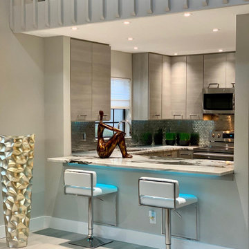 St Pete Condo Remodel