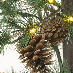 PRODUCTS | Fall Decor - Holiday Decorations