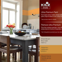 One Coat&trade; Paint - Paint