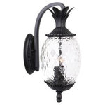 Acclaim Lighting - Acclaim Lighting 7502BK Lanai, 2-Light Outdoor Wall Light, 7.25"W - This Two Light Wall Lantern has a Black Finish andLanai Two Light Outd Matte Black Clear Pi *UL Approved: YES Energy Star Qualified: n/a ADA Certified: n/a  *Number of Lights: 2-*Wattage:60w Candelabra bulb(s) *Bulb Included:No *Bulb Type:Candelabra *Finish Type:Matte Black