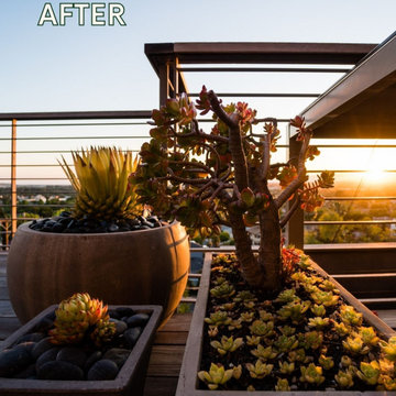 Hillside Transformation