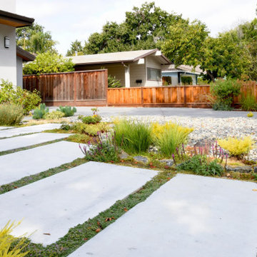 Palo Alto Custom Home – Entry Approach