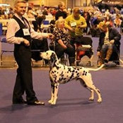 Mark Dunnachie's photo