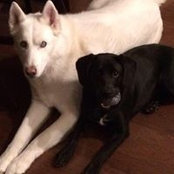 Susan Gilbert's photo