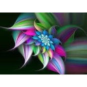 Deborah Pooleys foto