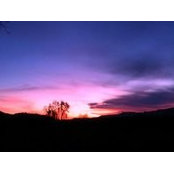 Debbi Dow's photo