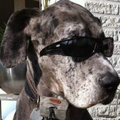 Agatha Dogge's photo